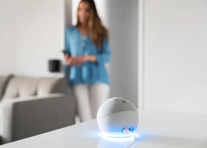 Tudo sobre internet para casas inteligentes em São Francisco do Sul - Brasilnets Internet